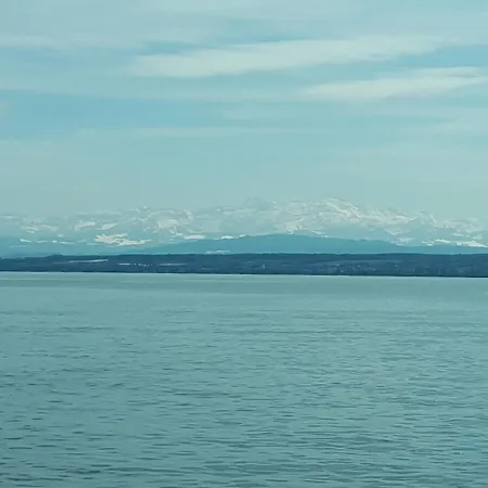 Homal * Konstanz
