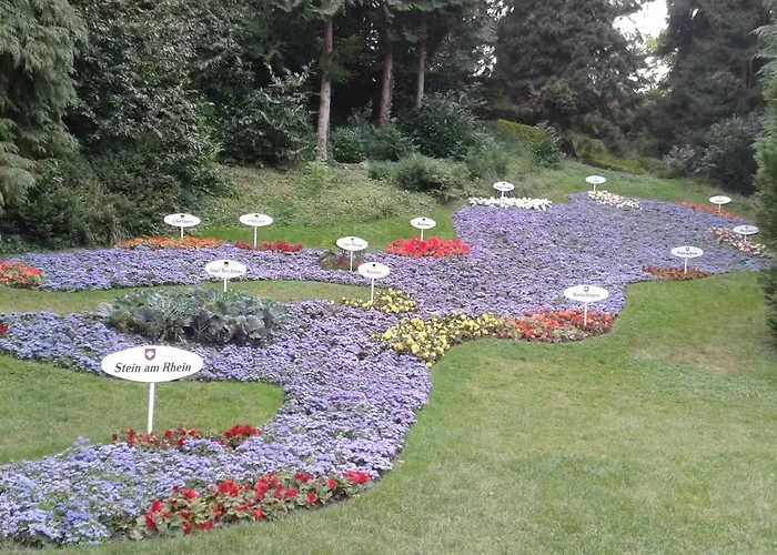 Homal Κωνσταντία