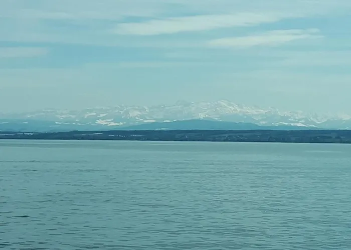 Homal * Κωνσταντία